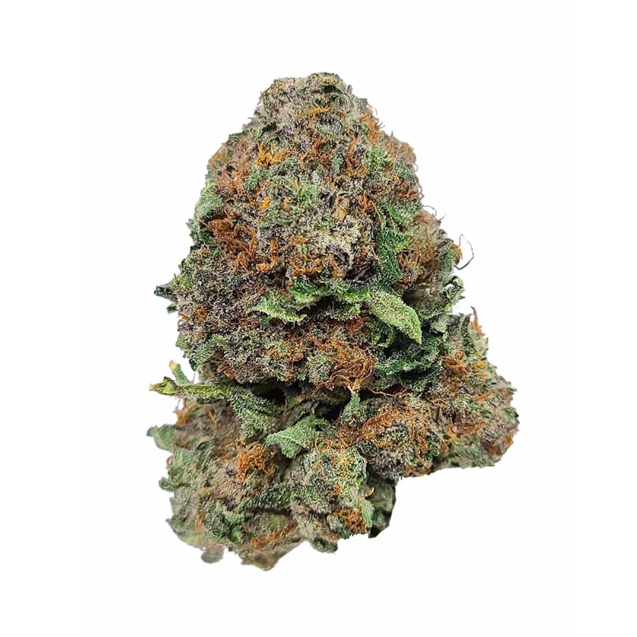 Top Marijuana Seed Companies 2025