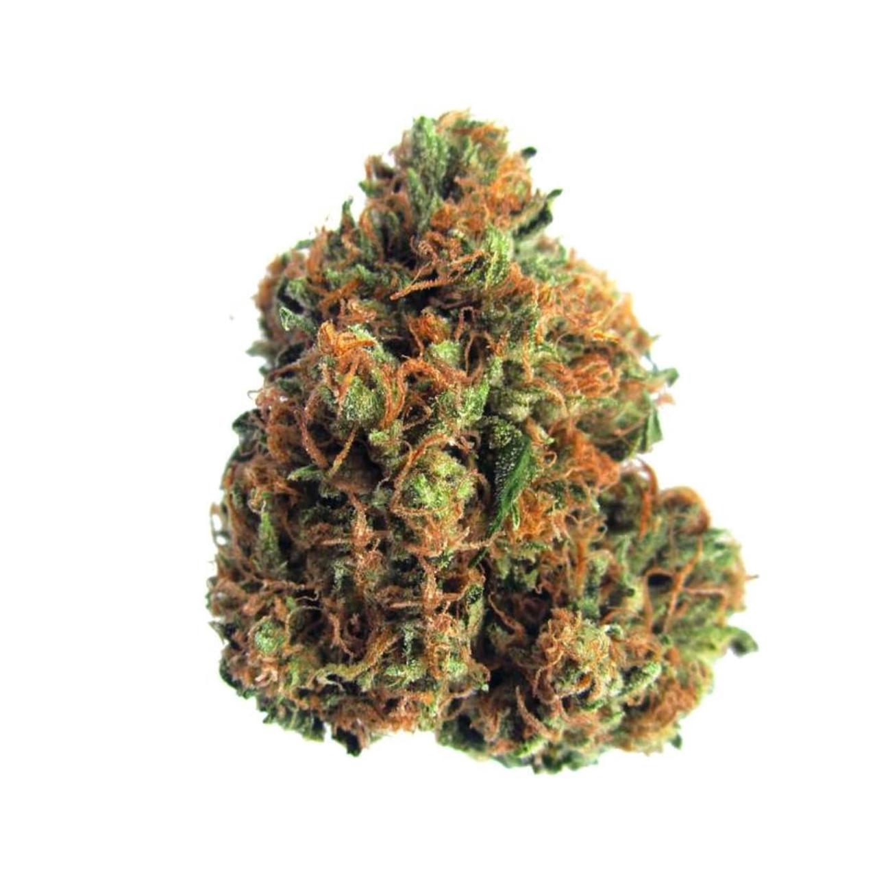 Marijuana 2025 conspiracy