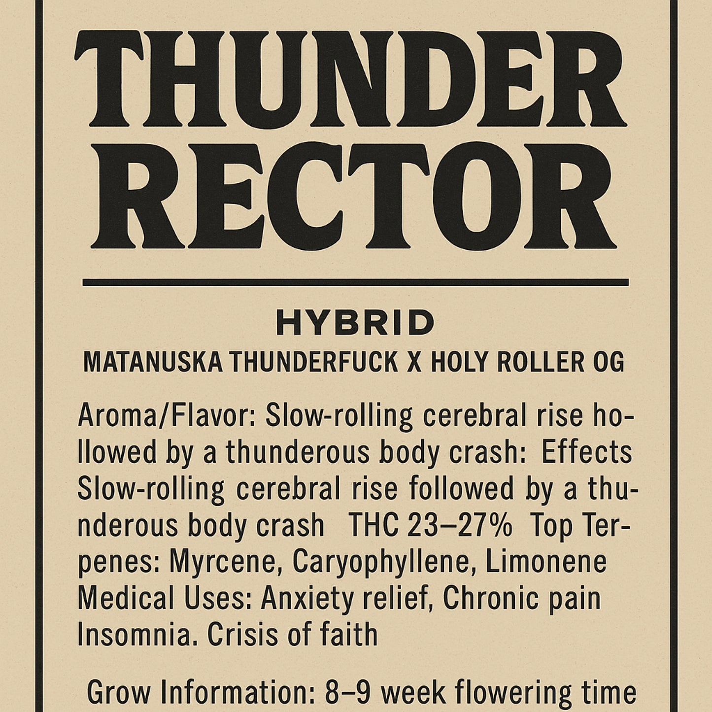 Thunder Rector