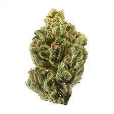 Worlds Best Marijuana Seed Strain Multi Pack 40 seed pack