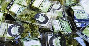 Top 5 New Cannabis Strains of 2024  pack of 10 Marijuana Seeds