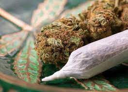 Top 5 Happy Cannabis Strains for 2025 pack of 10 marijuana seeds