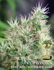 Alegria single weed seed