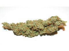 Golden Goat marijuana seeds