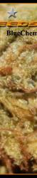 BlueChem marijuana seeds