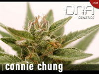 Connie Chung