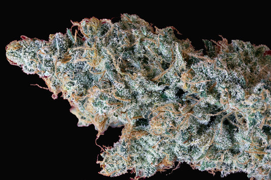 Coup de Grace marijuana seeds