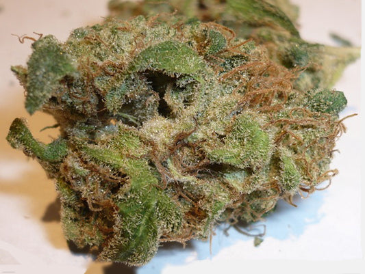 Ghandi cannabis seeds
