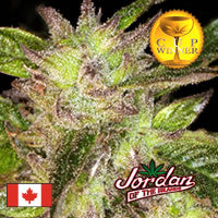 God Bud