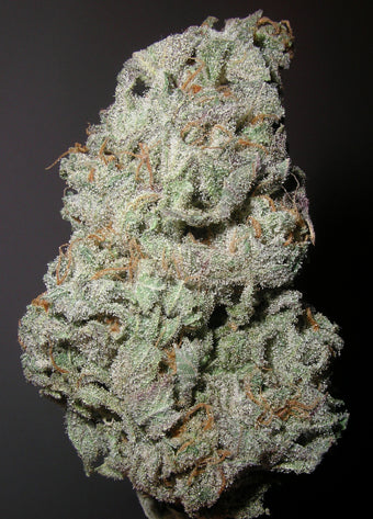 Grapegod marijuana seeds