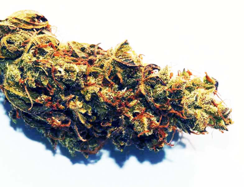 harle sue high cbd 10 pack