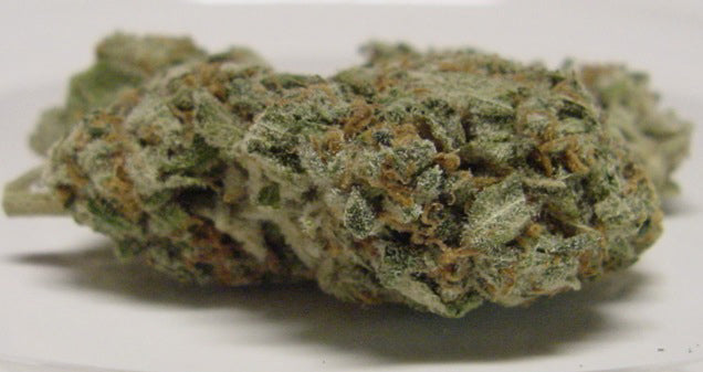 Graines de marijuana pour Halloween