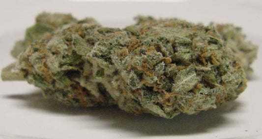 Halloween marijuana seeds