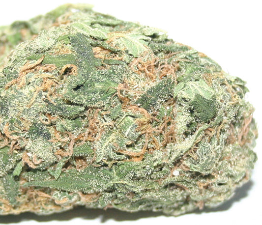 Hawaiian Punch marijuana seeds