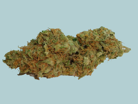 Hogs Breath marijuana seeds