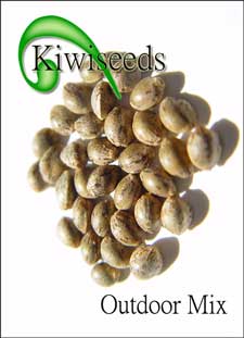 Kiwi Outdoor mix