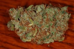 Kaboom marijuana seeds