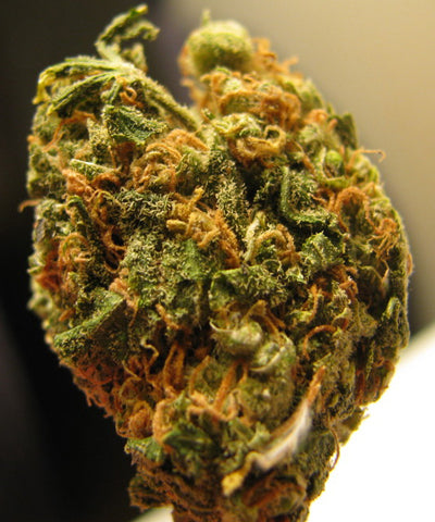 kill bill marijuana seeds