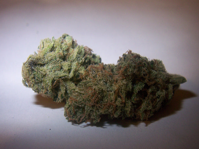 Kiwi skunk marijuana seeds