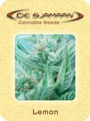 Lemon marijuana seeds