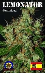 Lemonator single seeds