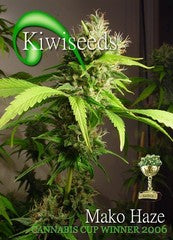 Mako Haze marijuana single seeds
