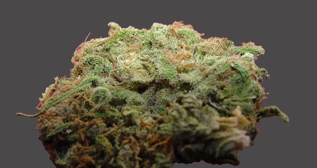 mango papaya kush marijuana seeds