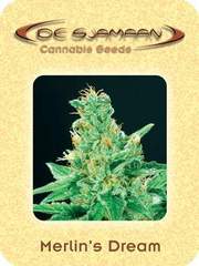 Merlin's Dream single seeds