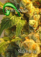 Milky Way kiwi single seeds