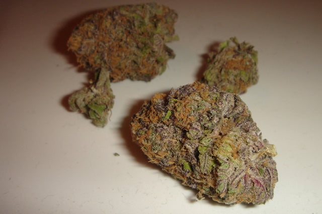 Primetime marijuana seeds