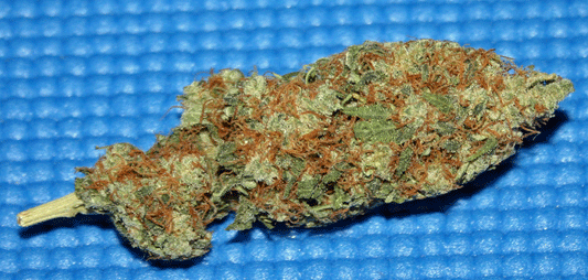 Silver Surfer marijuana seeds