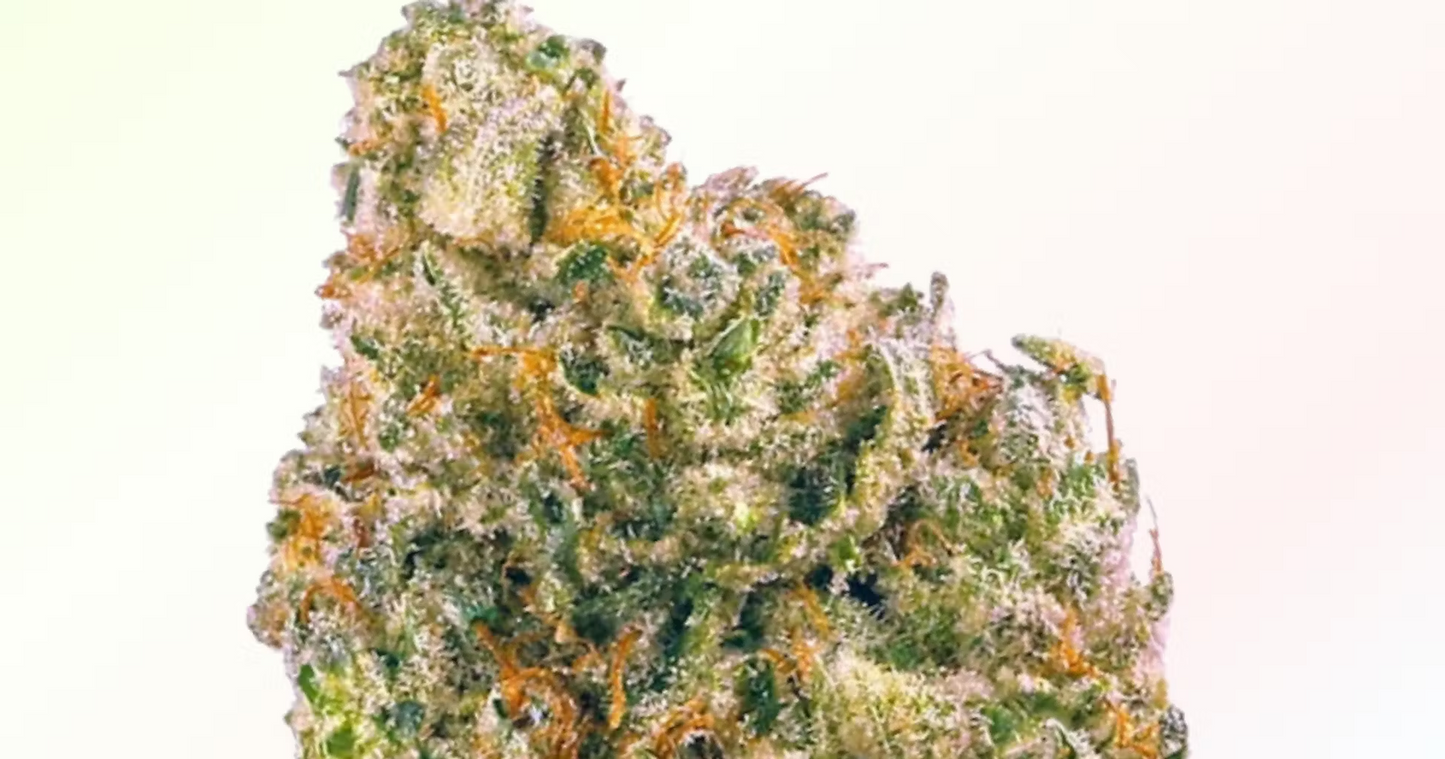 Chemdawg Pack of 10