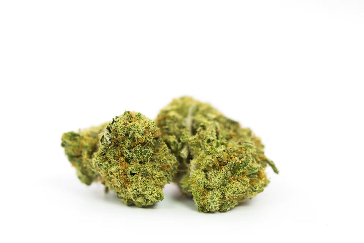 Super Silver Haze Marijuana Strain Pack of 10