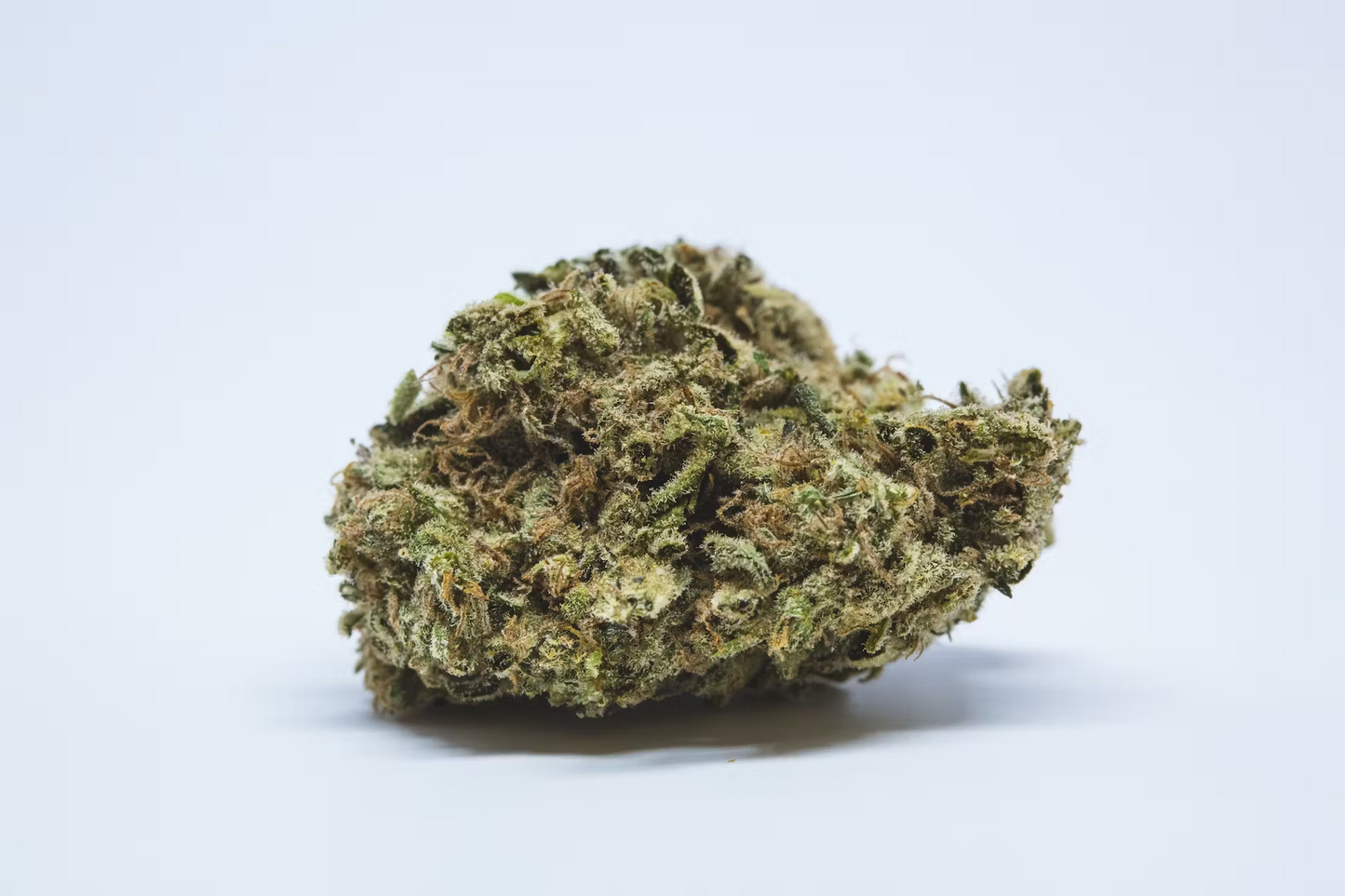 Lemon Haze Marijuana Strain Pack of 10