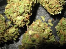 Apollo 11 marijuana seeds