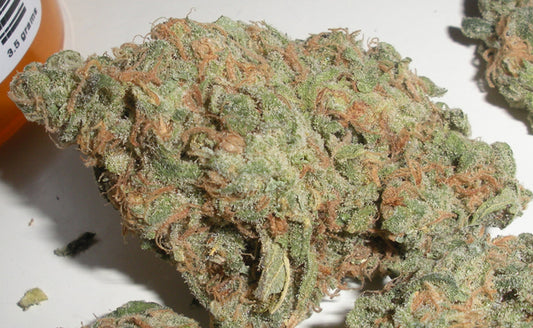 blue dream seeds
