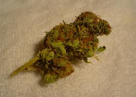 Brain Child marijuana seeds