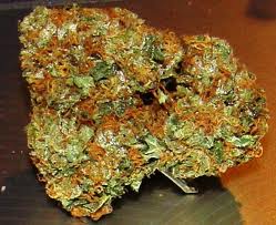 Fire OG BX marijuana seeds