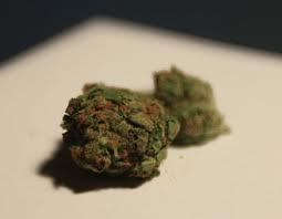 god crack marijuanaseeds