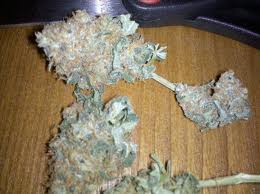 Gods vagina marijuana seeds