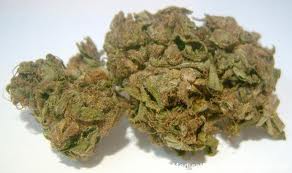 Graines de marijuana de goyave