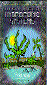 Hydroponic Grow DVD