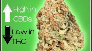 ejuice high cbd 30ml