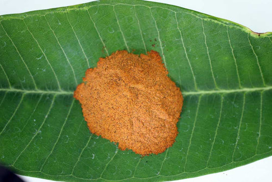 Kratom (Mitragyna Speciosa) Extract
