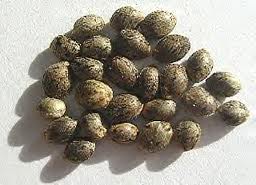 Add to Cart one million potent cannabis seeds