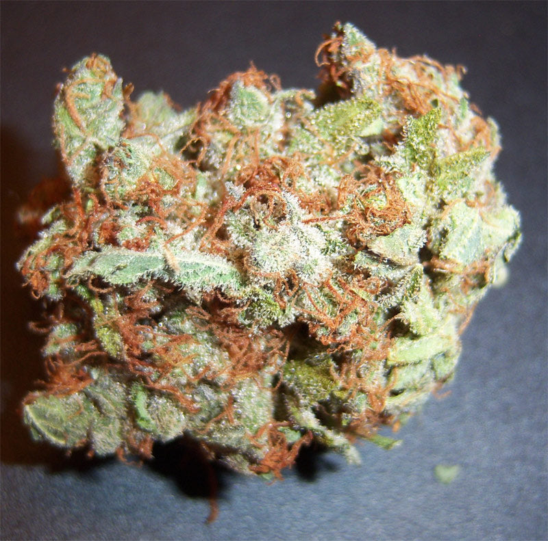 alien technology seeds