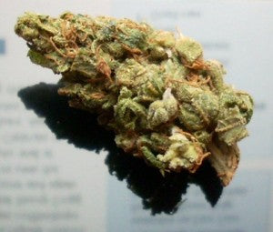 Super Pineapple Haze
