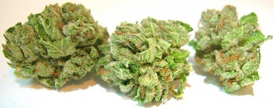 Popcorn buds marijuana pop buds