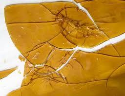 Shatter 14 grams purple candy