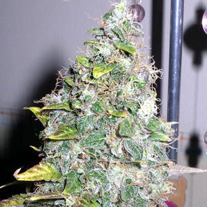 Smurfberry